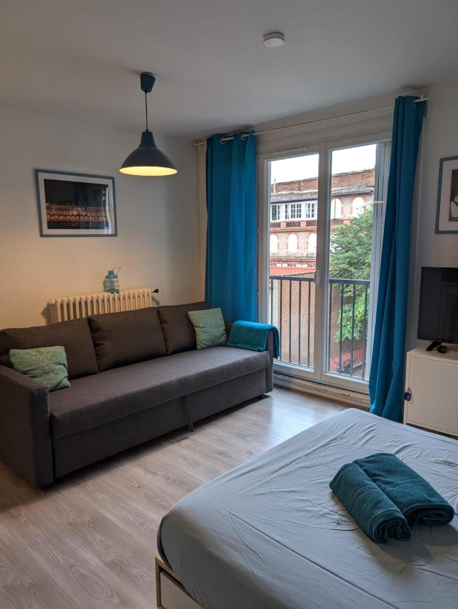 Ombre Bleue Apartment ตูลูส ภายนอก รูปภาพ